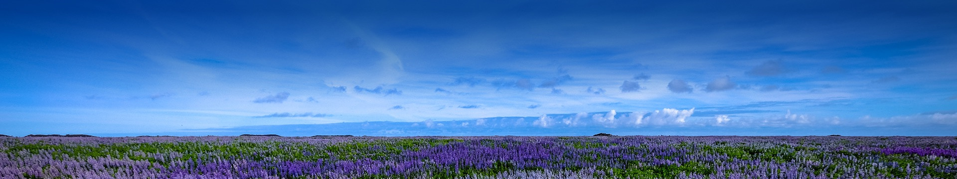 马鞍山阡马山陵园